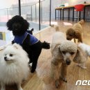 호텔가자인천공항 뉴스1