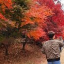 다래 당구장 이미지