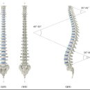 경희보비한의원 이미지