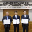 은행나무시장 3 이미지