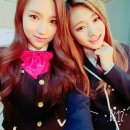 쯔위 카카오 검색결과