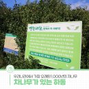 우리나라에서 가장 오래된 1,000년의 차나무시배지가 있는 하동