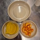 대전시청술집 시청역회식장소 둔산동우동맛집 [한신우동 대전시청점]