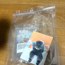 댕글하우스 이미지