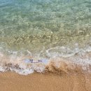 하조대해수욕장 화장실 3 이미지