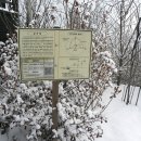 무봉산둘레길 이미지