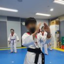 태권도고수회국가대표태권도장