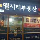 팔레드시즈부동산중개 이미지