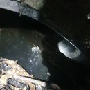 금왕농장 이미지