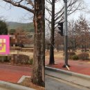 가로정비과 이미지