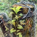 창조미술학원 이미지