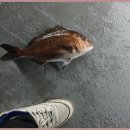 뚜루실내바다낚시터 이미지