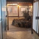 미성국수