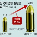 그냥 심심해서요. (24499) 인천공항서 실탄류 적발 208건 이미지