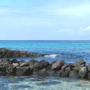 동암목장 이미지