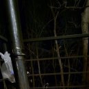 불루캠핑장 이미지