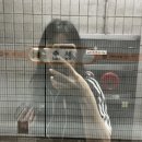 맥심 PC | 한국생산성본부 교육 후기 (페이코, 식당추천, 카페)