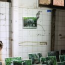 오아시스여관 | 정정호 개인전 신 터, 아트스페이스 보안1942 통의동 보안여관 전시