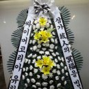 싸이머코리아 유한회사 - 4439 | 싸이머코리아 유한회사