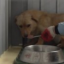 무리개농장 이미지