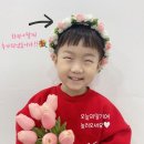 세종셀프사진관오늘의일기