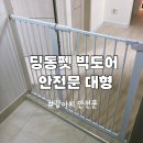 빅펫 | 딩동펫 빅도어 안전문 내돈내산 솔직후기