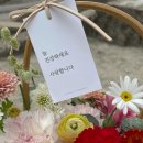 시트린플라워스 이미지