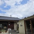 올리브 바닐라 이미지