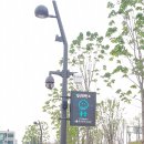 미아미세 이미지