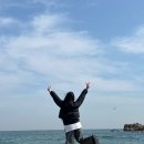 동해안 | 경주 시티투어 버스 동해안투어 이용 후기