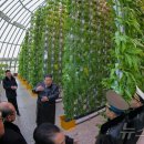 일대농장(2) 이미지