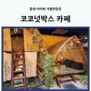 AR트릭아이전 | 홍대 아이와 가볼만한곳 코코넛박스 트릭아이뮤지엄 후기