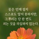 오면기 이미지
