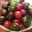 흑토랑농장 이미지