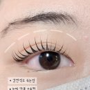 모숲 이미지