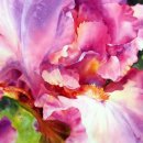 컬러풀 수채화 이미지