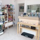 도그어바웃 강아지분양 이미지