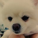 서동고개 2 이미지