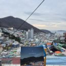 한재로타리 | 부산 청도 여행-감천문화마을 로타리양곱창 청도소싸움 청도와인동굴 청도미나리