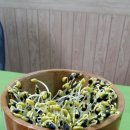 황토시루 이미지