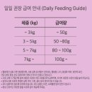 이다캣 | 쉨잇 캣 (SHAKEAT) 동결건조+생육키블 사료 4종 체험 후기