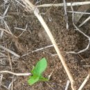 풍각초등학교 이미지