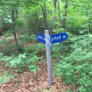 용강4리 네이버블로그
