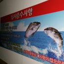 사항제2낚시터 이미지