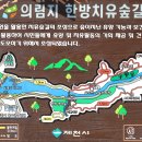 솔방1 이미지