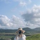 제주스토리투어 이미지