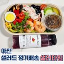 아산 샐러드 샐러타임 정기배송 메뉴구성 2주 후기 샌드위치 추천