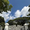 팔도슈퍼(자판기) | 2025 하계휴가 in 싱가포르 🇸🇬 1,2일차