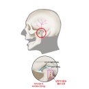 올곧은한의원 이미지