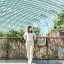 더불어사는우리 만나무료급식소 | 싱가포르 가든스바이더베이 예약, 입장권, 시간 ft. 아바타, 쥬라기월드 현실판